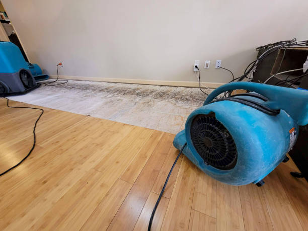 Professional Structural Drying technician working in Libertyville, IL